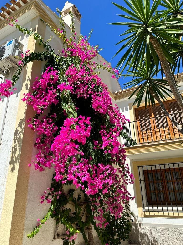 Casa Veratense Vera Playa Playas de Vera 外观 照片