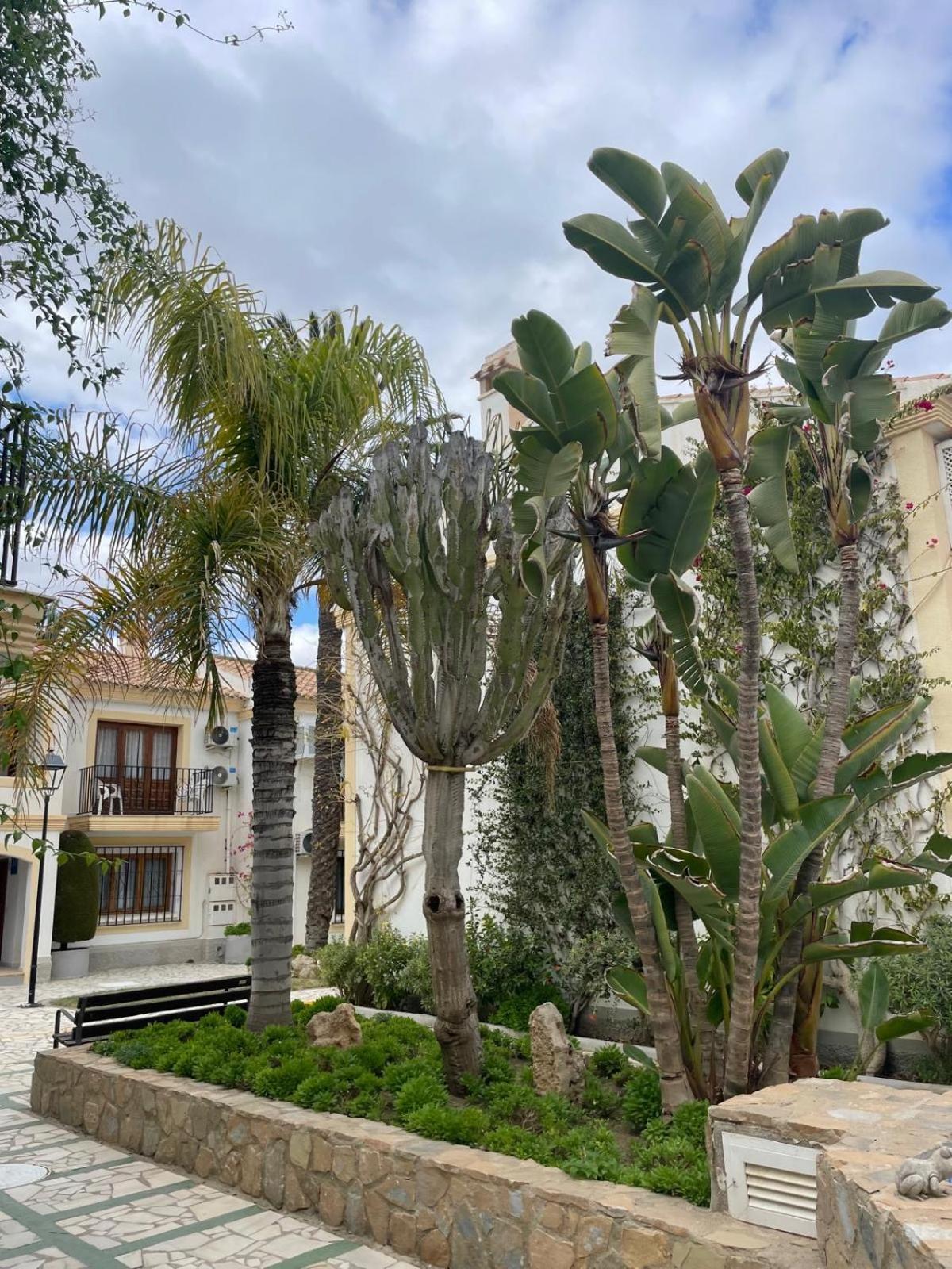Casa Veratense Vera Playa Playas de Vera 外观 照片