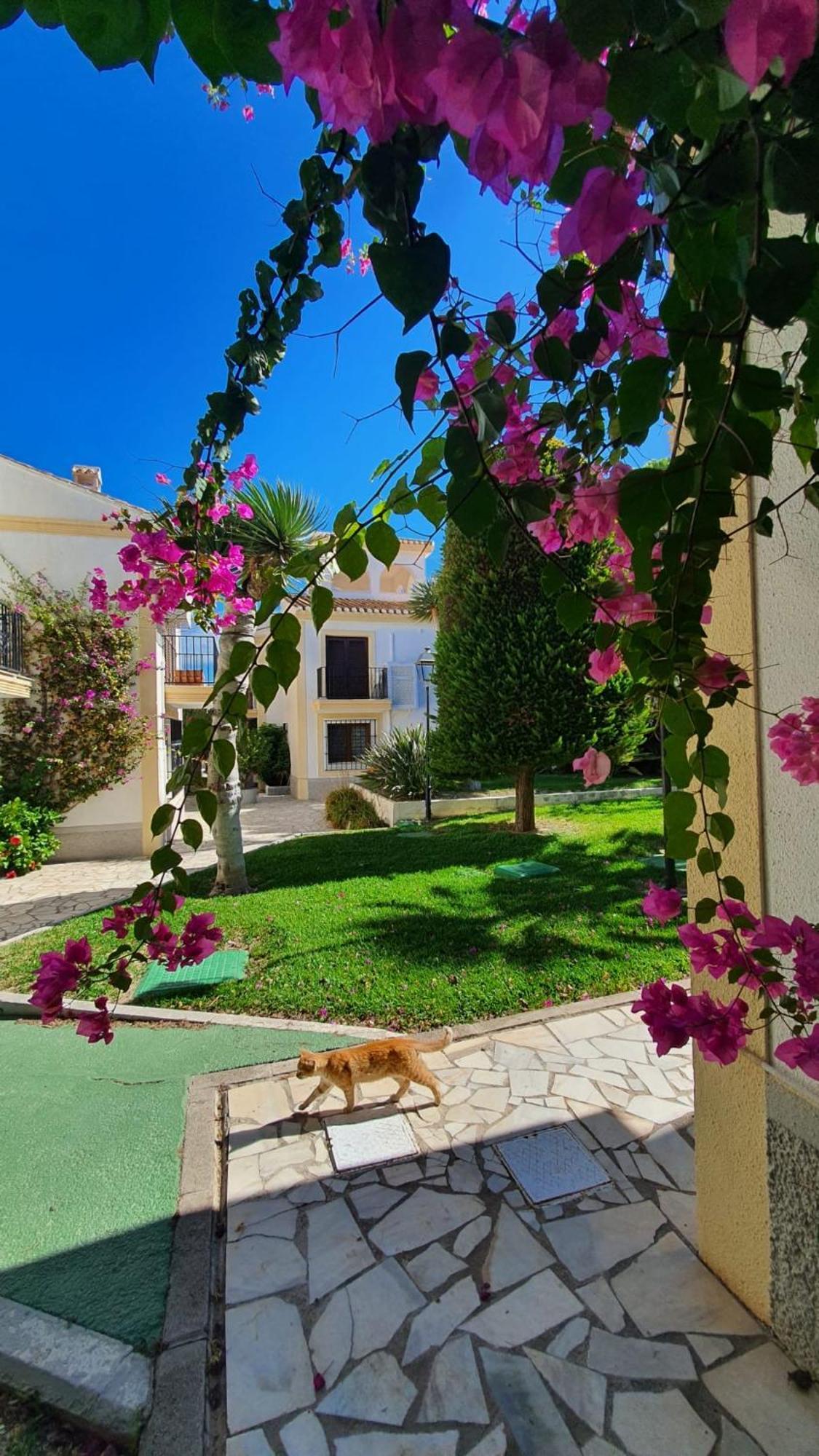 Casa Veratense Vera Playa Playas de Vera 外观 照片